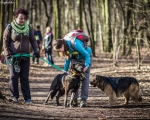 DOGTREKING z Wild Dogs Team 13