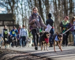 DOGTREKING z Wild Dogs Team 27