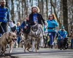 DOGTREKING z Wild Dogs Team 36