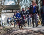 DOGTREKING z Wild Dogs Team 37