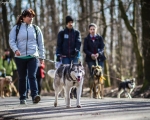 DOGTREKING z Wild Dogs Team 39