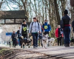 DOGTREKING z Wild Dogs Team 40
