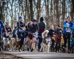DOGTREKING z Wild Dogs Team 45