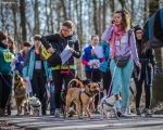 DOGTREKING z Wild Dogs Team 47