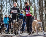 DOGTREKING z Wild Dogs Team 52