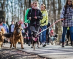 DOGTREKING z Wild Dogs Team 53