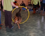 Dogoterapia 03
