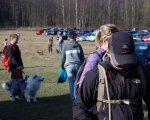 Dogtrekking 09.JPG