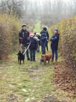 Aktualnosci - archiwum