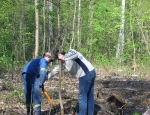 Sadzenie drzew 10