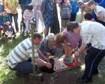 Sadzenie drzewa 06.JPG