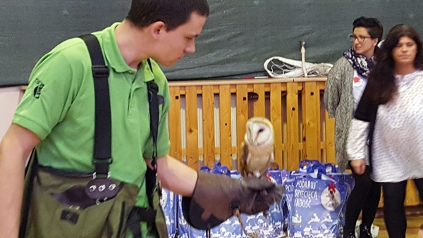 Swiateczna Bombka 20