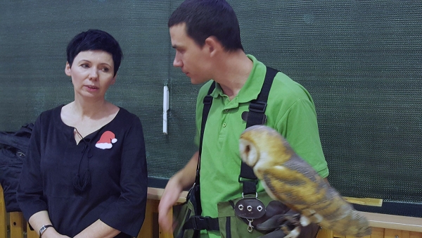 Swiateczna Bombka 22