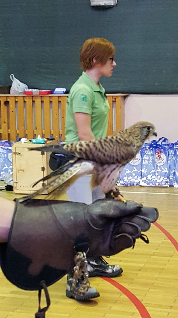 Swiateczna Bombka 25