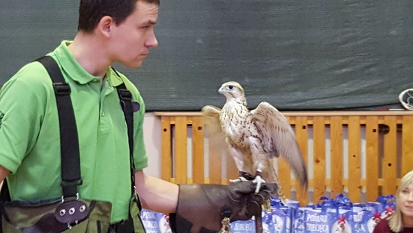 Swiateczna Bombka 27