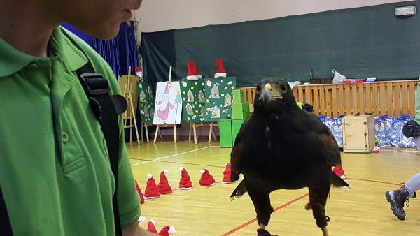 Swiateczna Bombka 29