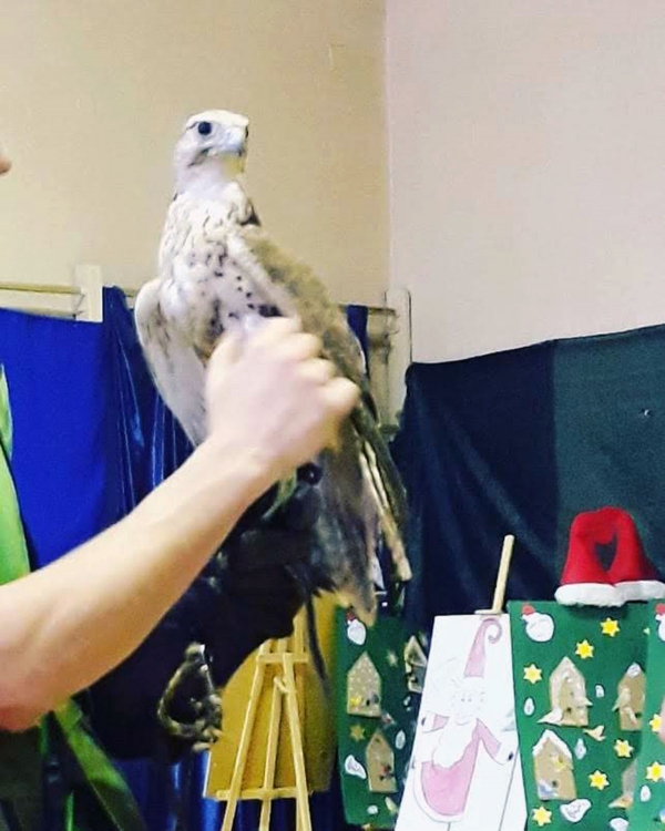 Swiateczna Bombka 35