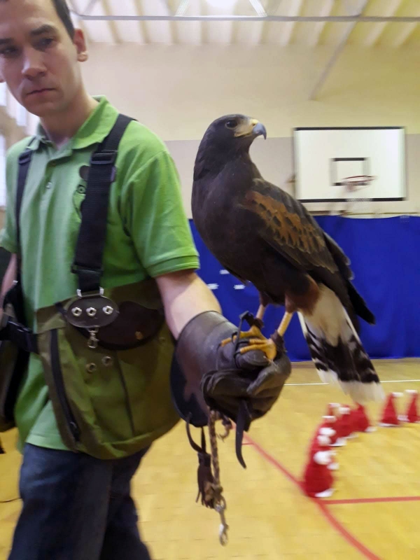 Swiateczna Bombka 40