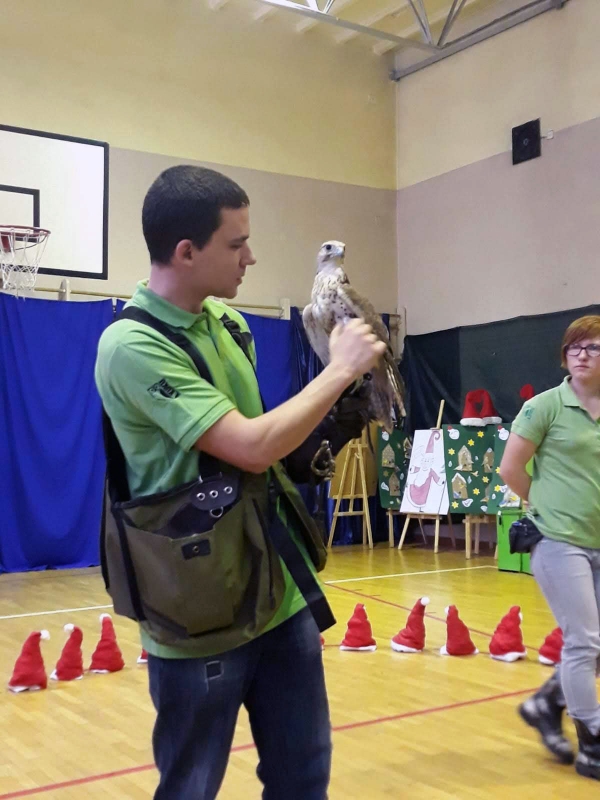 Swiateczna Bombka 42