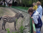 Wycieczka do ZOO 32