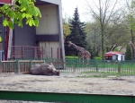 Wycieczka do ZOO 55
