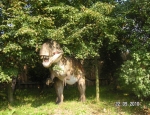 Wycieczka do parku dinozaurow 35