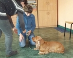 Zajecia warszatowe z dogoterapii  40