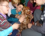 Zajecia warszatowe z dogoterapii 52.JPG