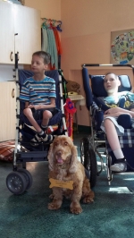 Zakończenie dogoterapii